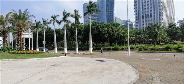 实景图