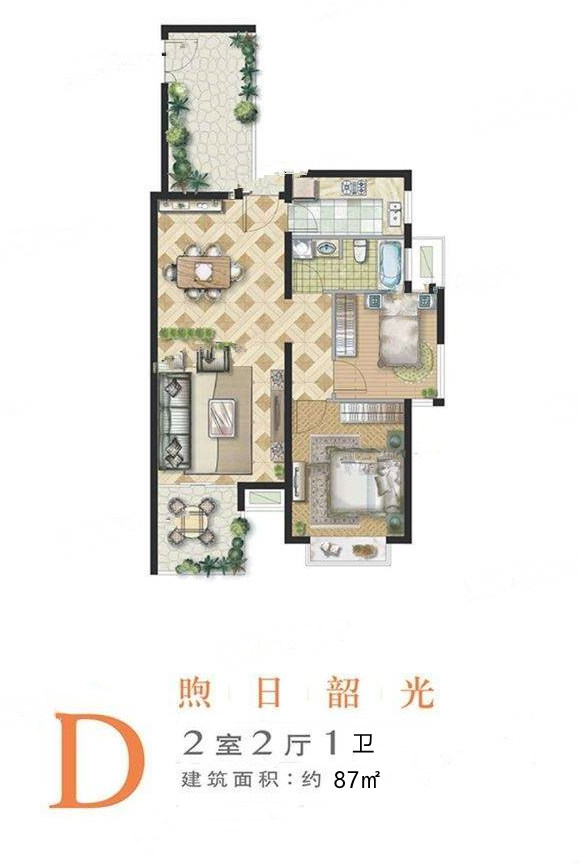 D户型