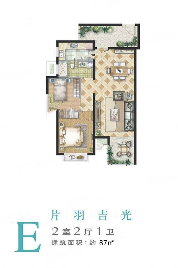 E户型