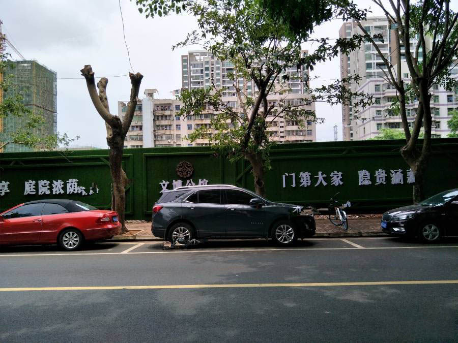实景图