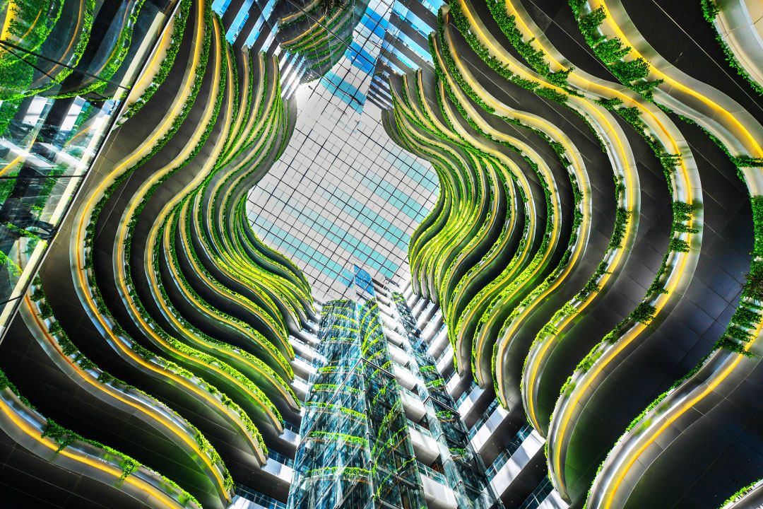 实景图
