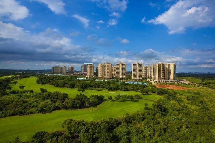 实景图