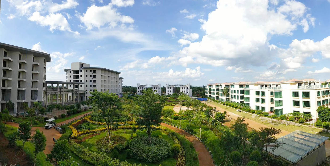实景图
