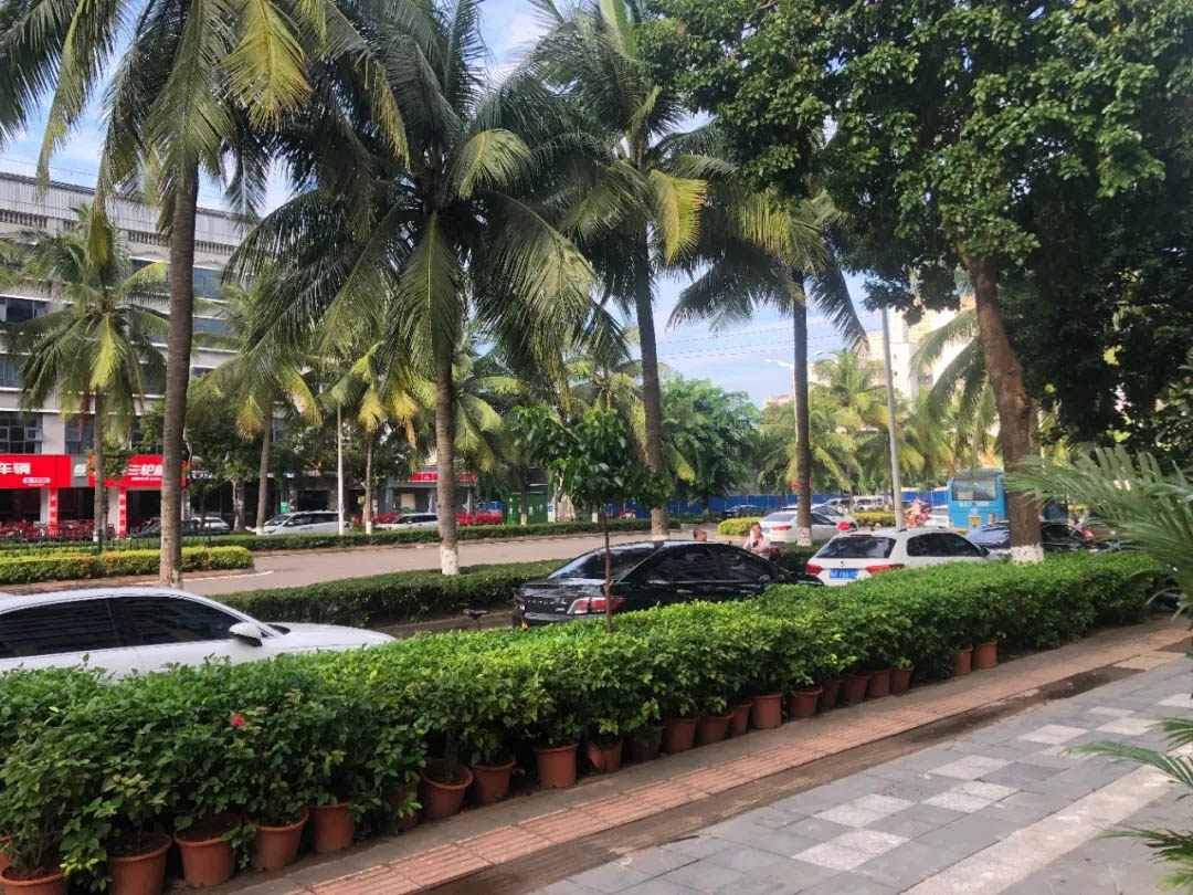 金源国际