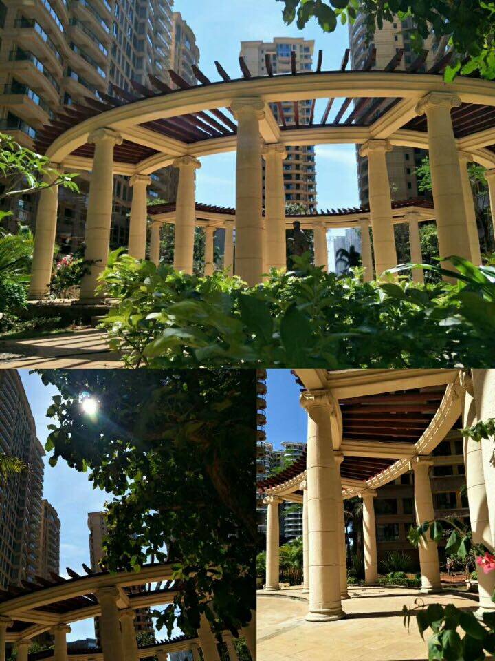 实景图
