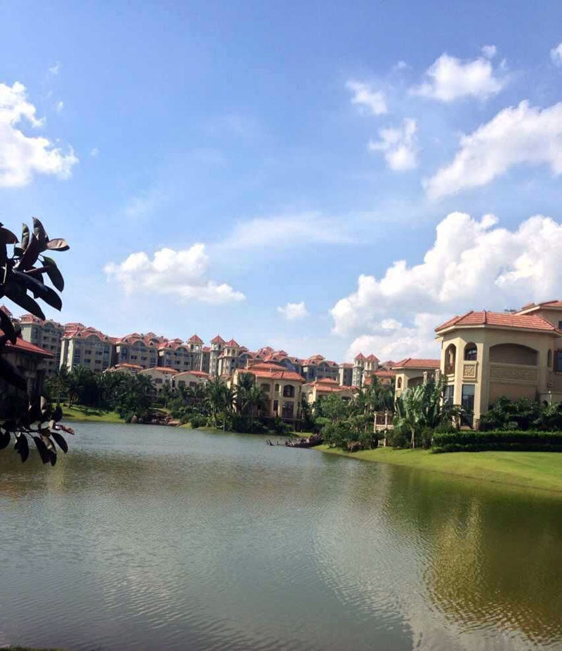 实景图