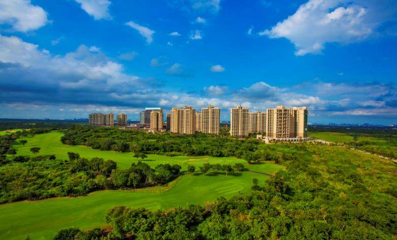 实景图