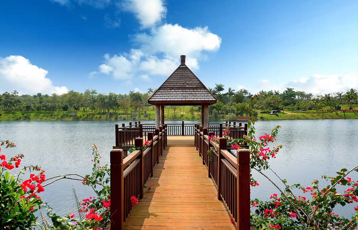 实景图