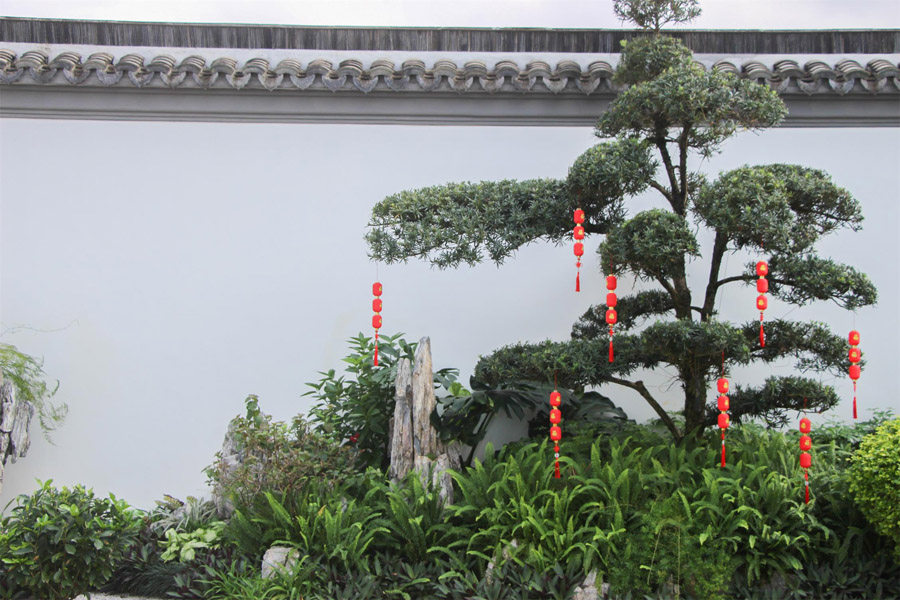实景图