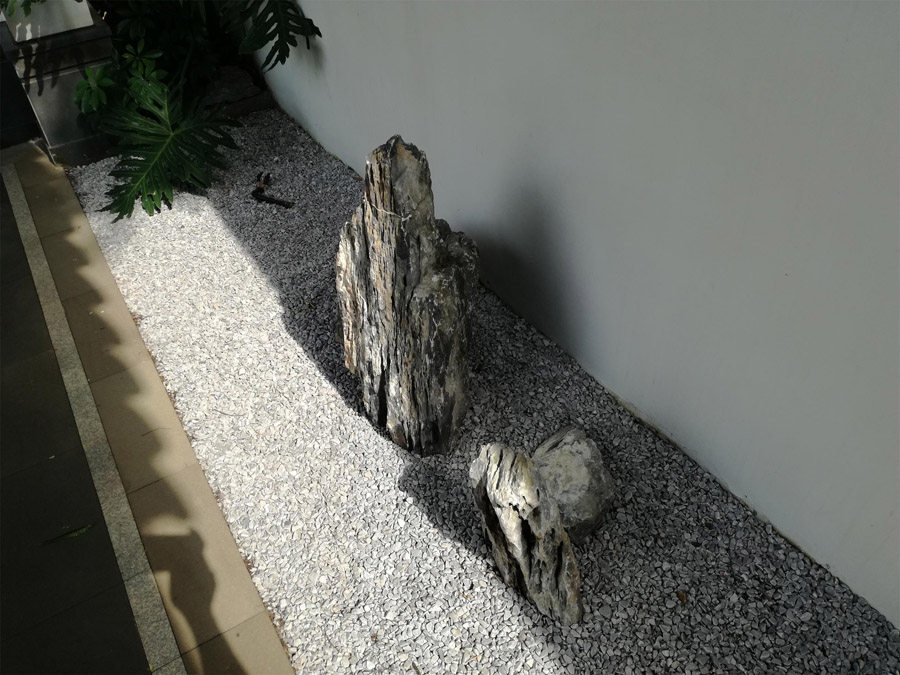 实景图