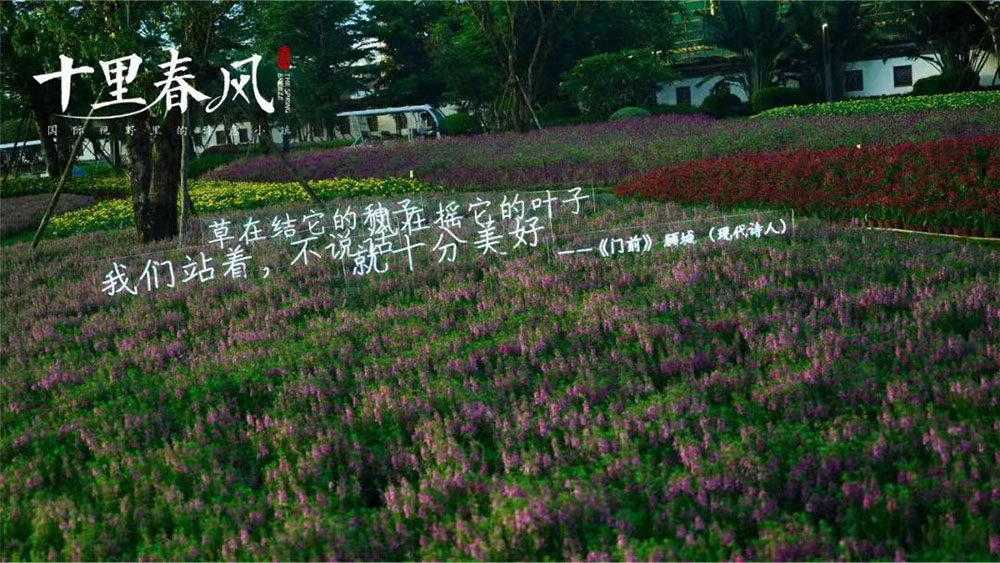 实景图
