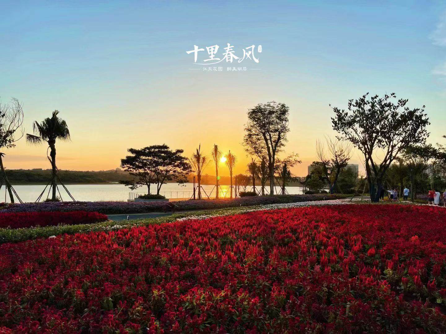 实景图