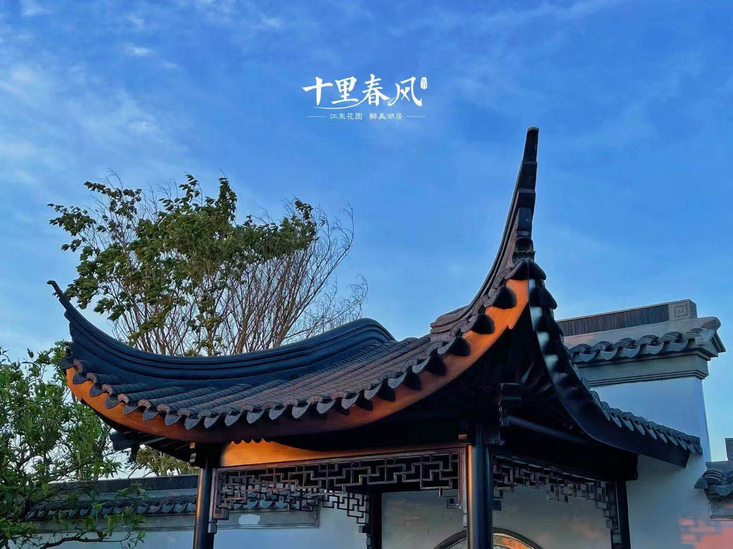 实景图