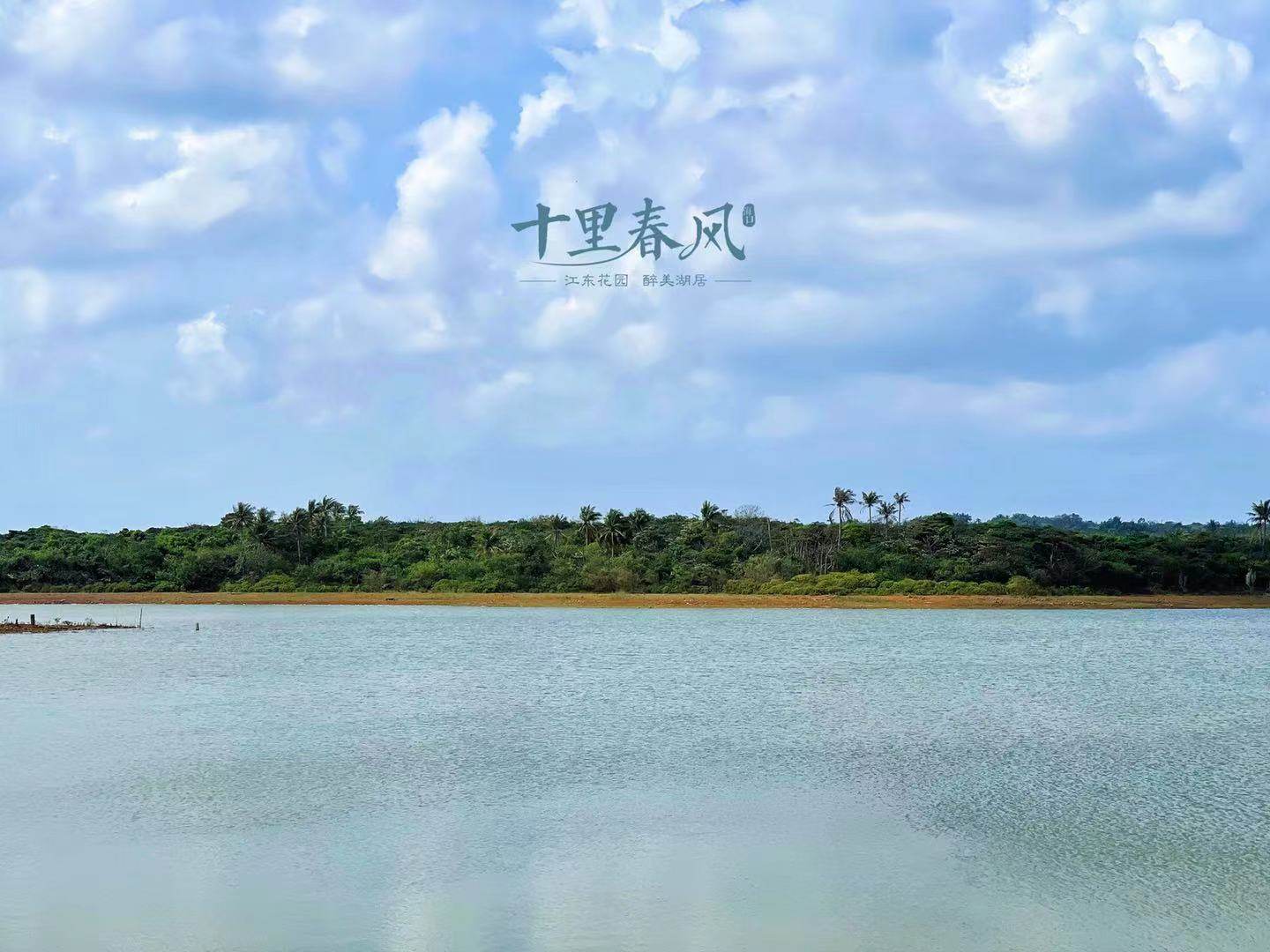 实景图