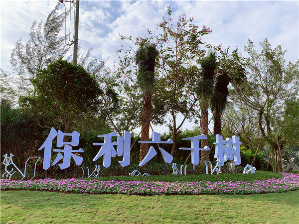 实景图