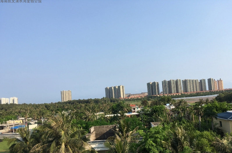 实景图