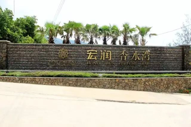 实景图