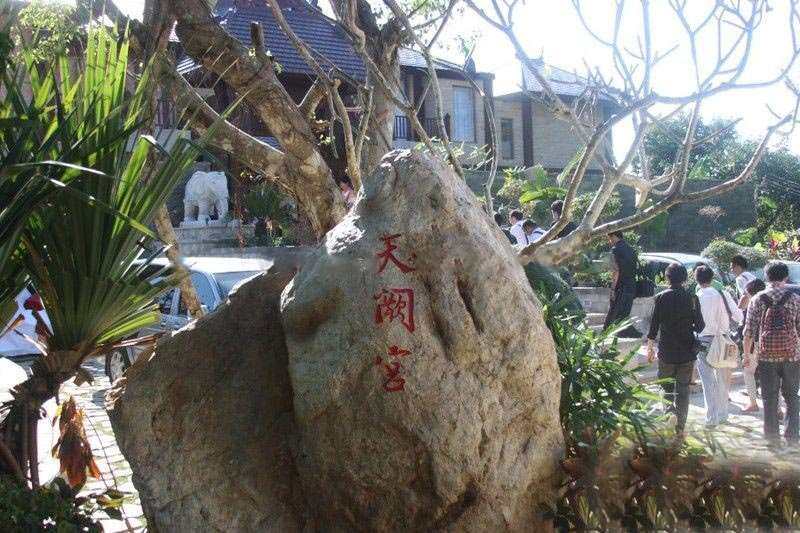 实景图