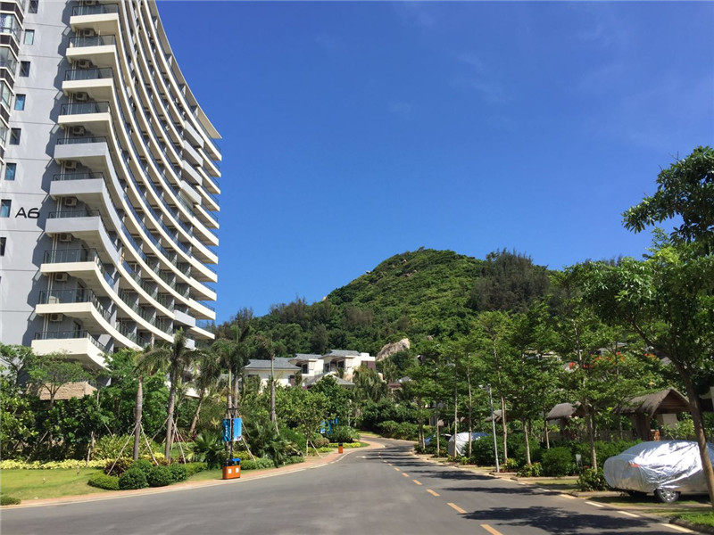 实景图