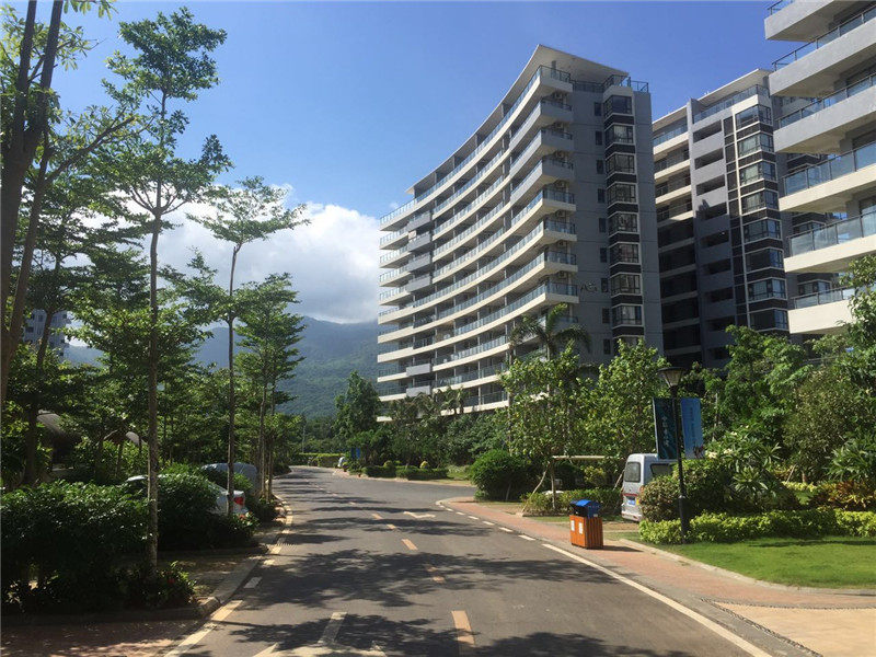 实景图