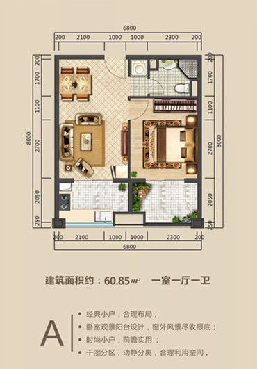 A户型