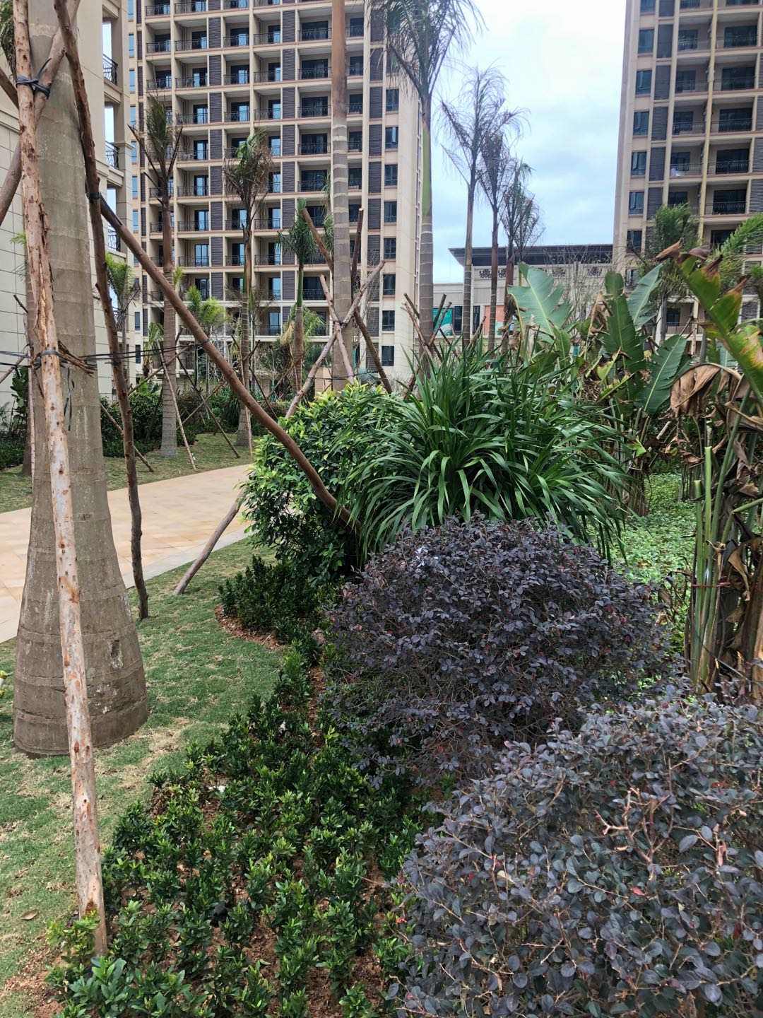 实景图