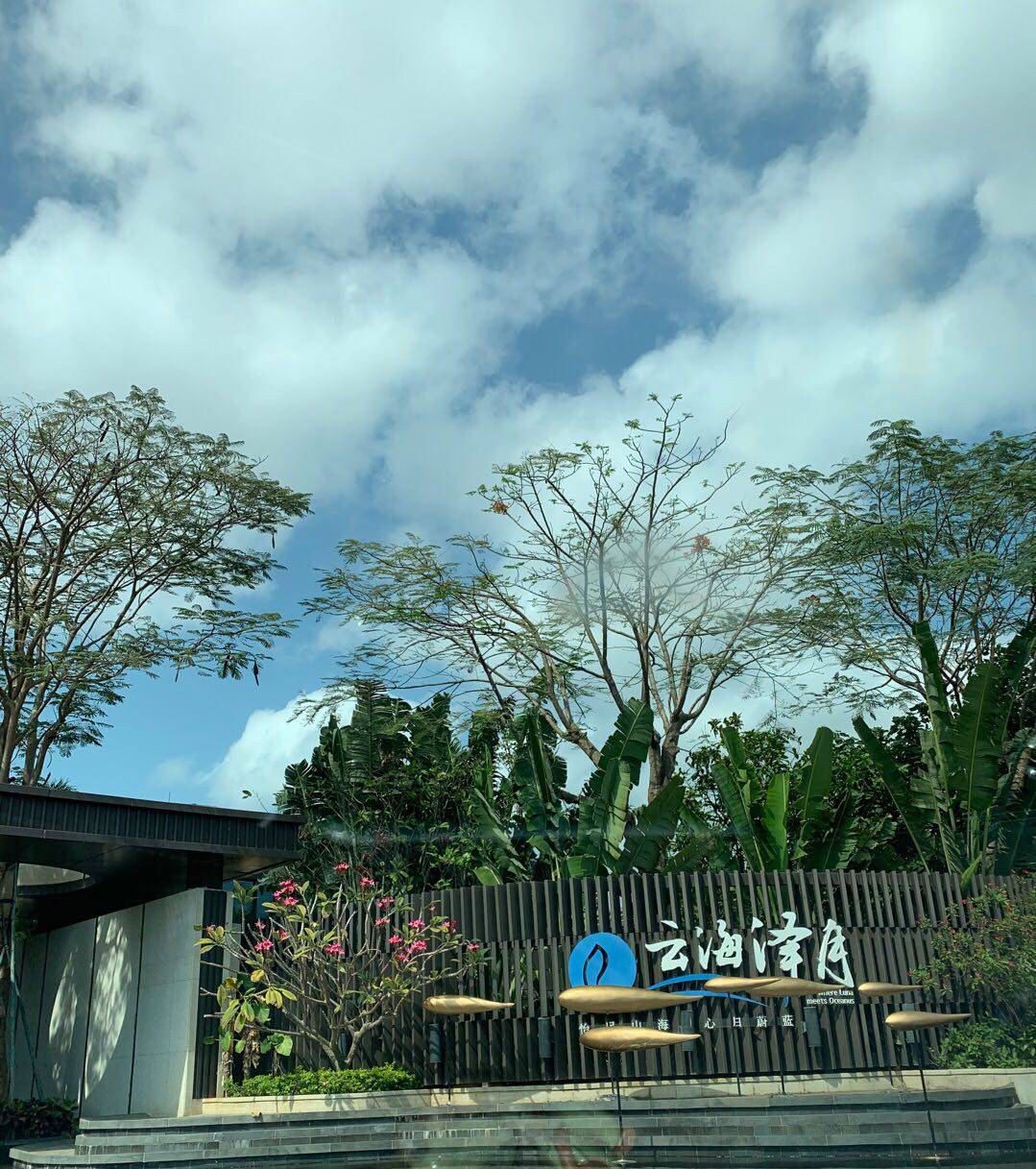 实景图