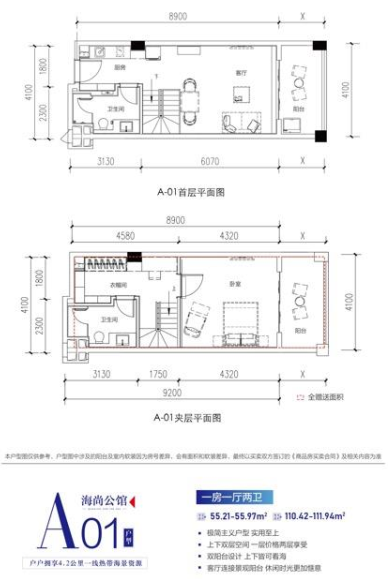 A01户型