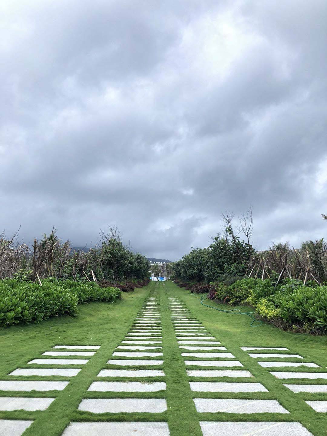 实景图
