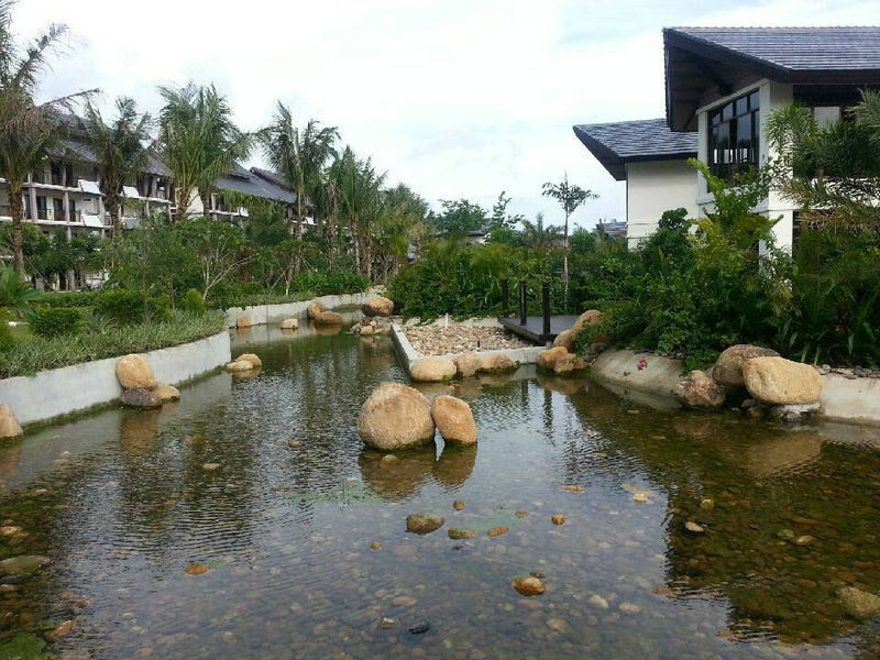 实景图