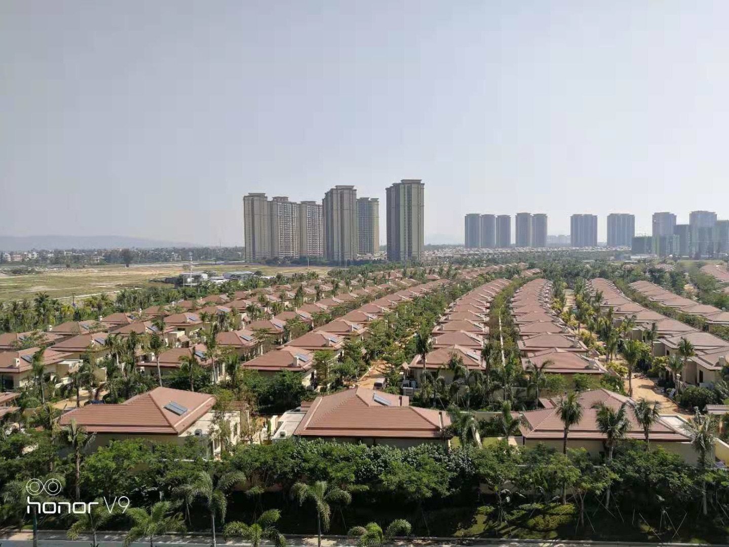 实景图