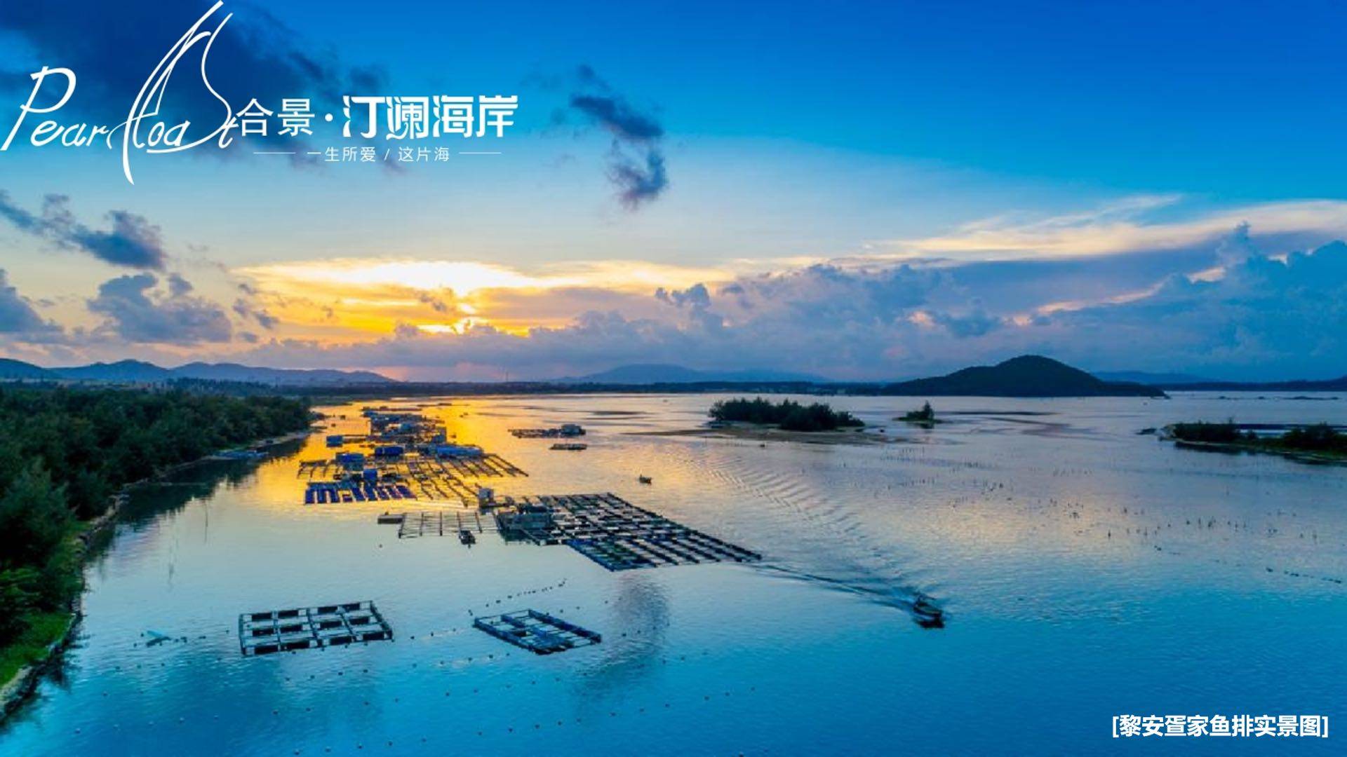 实景图