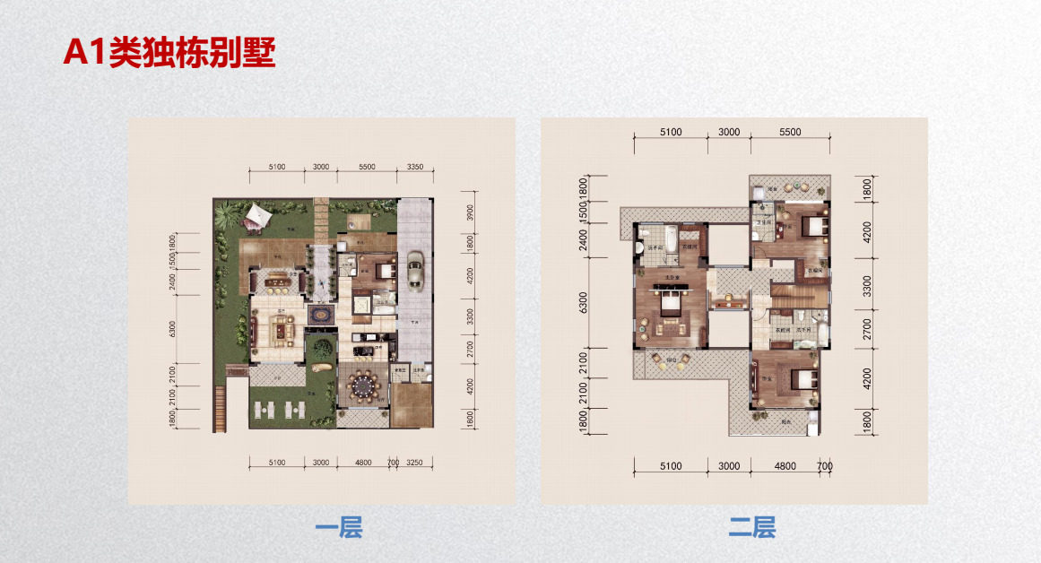 独栋别墅A1户型