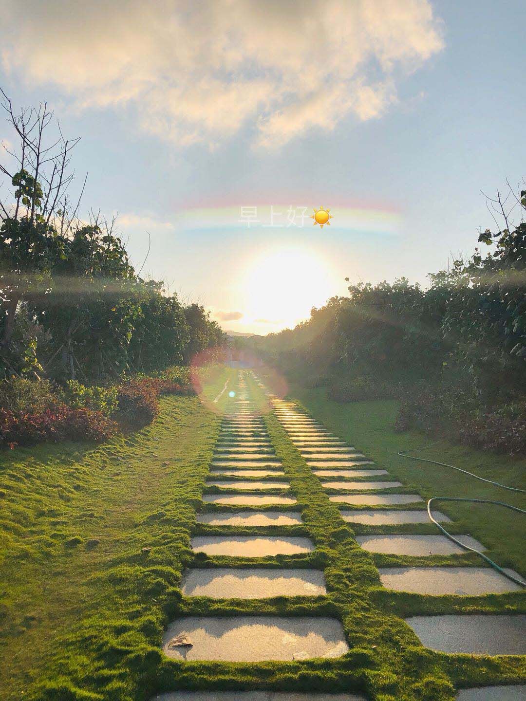 实景图