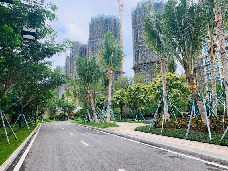 实景图