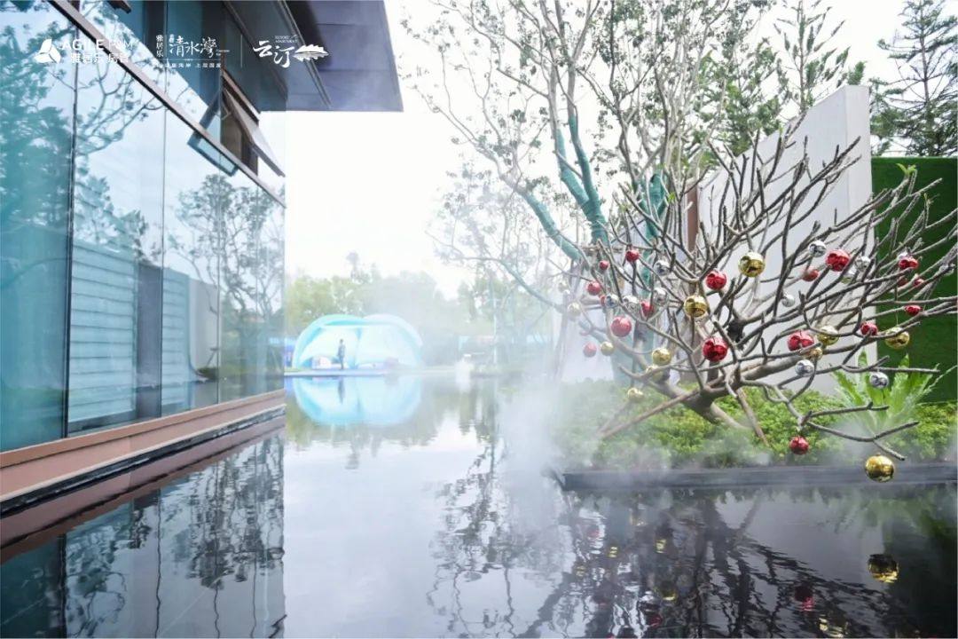 实景图