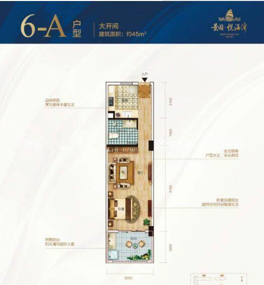 6-A户型