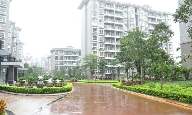 实景图