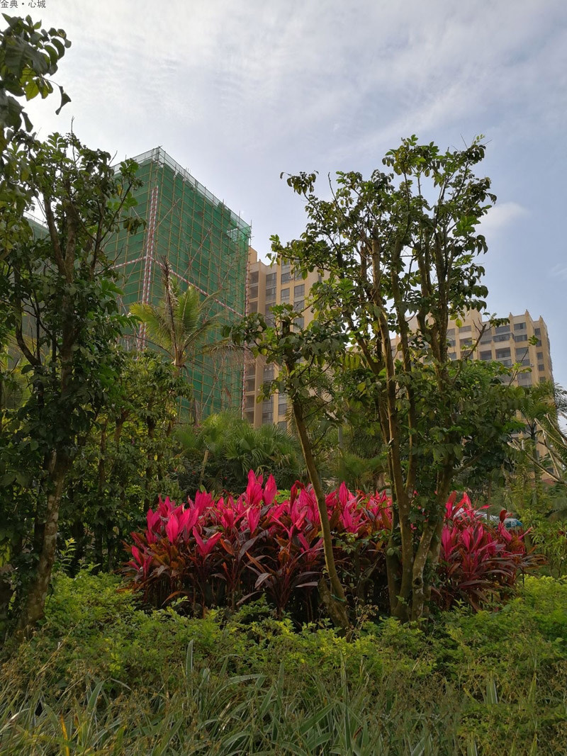 实景图