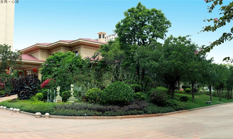 实景图
