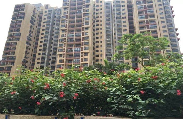 实景图