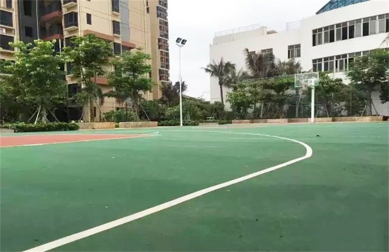 实景图