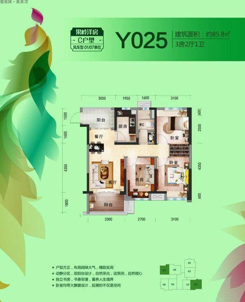 C-Y205户型