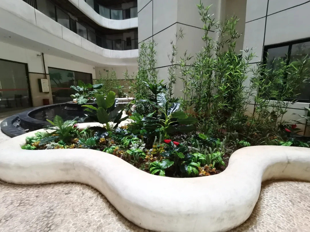 实景图