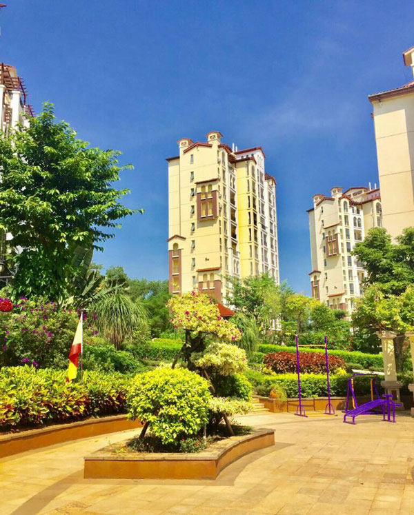 实景图