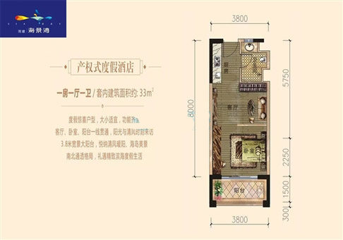 A户型