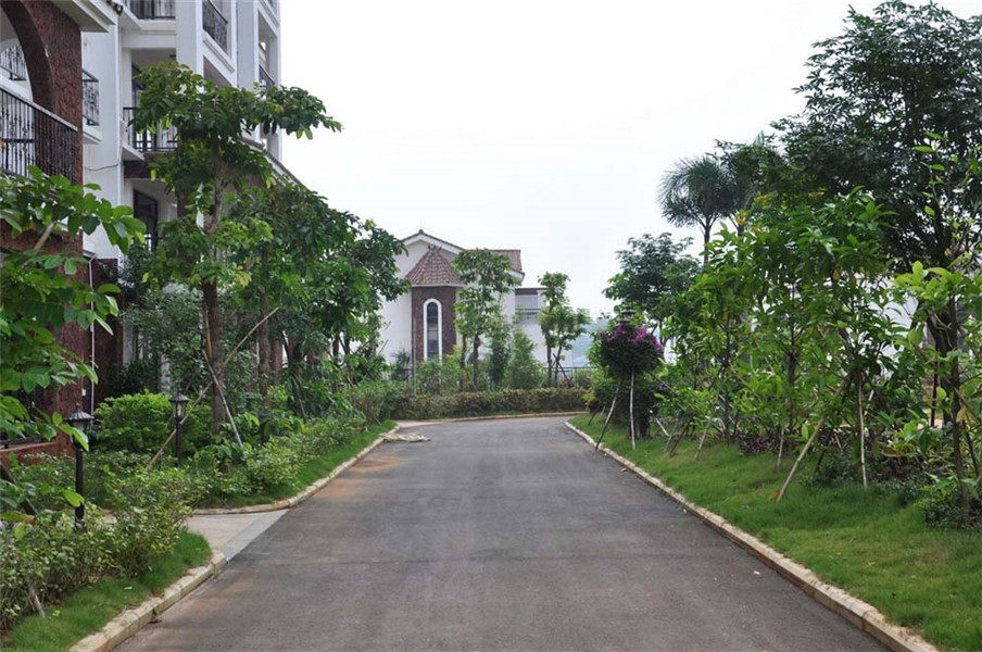 实景图
