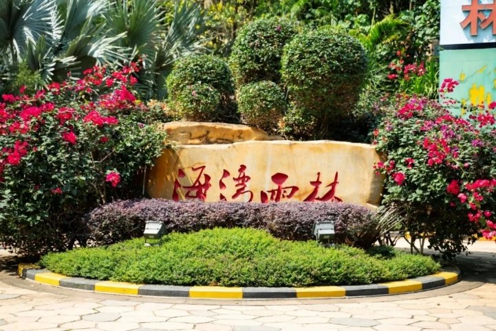 实景图