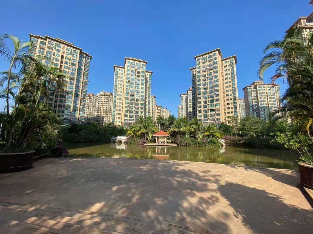 实景图