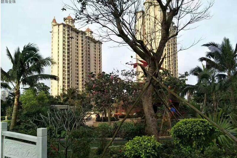 实景图